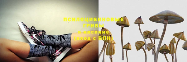 трава Баксан