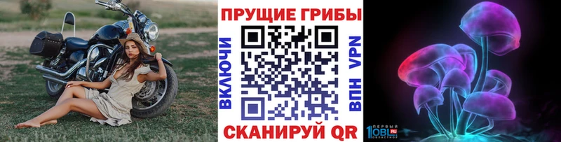 где найти наркотики Барабинск Галлюциногенные грибы прущие грибы